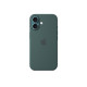 Apple Silicon Case with MagSafe for iPhone 16 - Lake Green