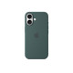 Apple Silicon Case with MagSafe for iPhone 16 - Lake Green