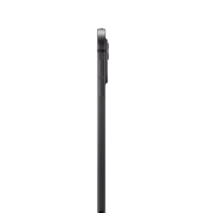 iPad Pro M4 11 inch Wi-Fi + Cellular 1TB