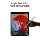 iPad Pro M4 13 inch Wi-Fi + Cellular 1TB Nano-Texture Glass - Space Black