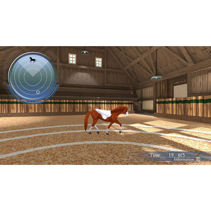 My Riding Stables: Life With Horses - US