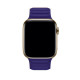 Apple Watch Band Dual Magnetic Baltic Blue