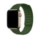 Apple Watch Band Dual Magnetic Pine Green