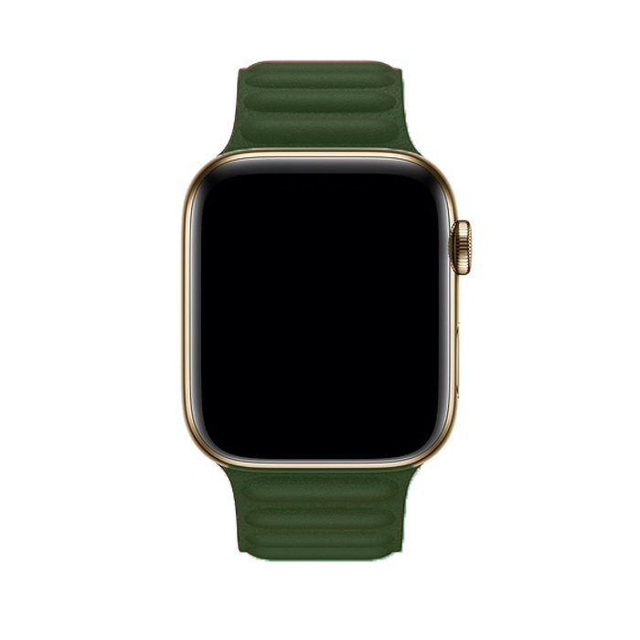Apple Watch Band Dual Magnetic Pine Green