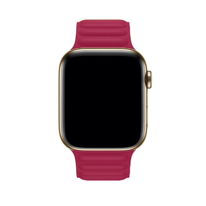Apple Watch Band Dual Magnetic Red