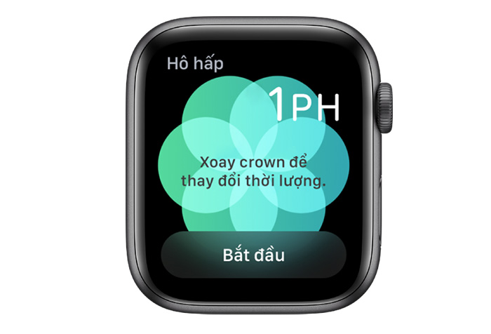 Hướng dẫn sử dụng Apple Watch Cơ Bản