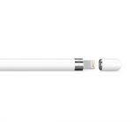 Apple Pencil Gen 1 - Ảnh 2