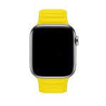 Apple Watch Band Dual Magnetic Orange Lemon Yellow - Ảnh 3
