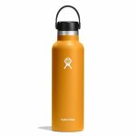 Bình Nước Giữ Nhiệt Hydro Flask Standard Flex Straw Cap 21 Oz 621ml - Fossil