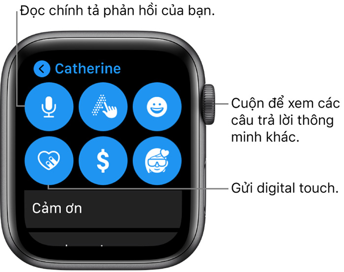 Hướng dẫn sử dụng Apple Watch Cơ Bản