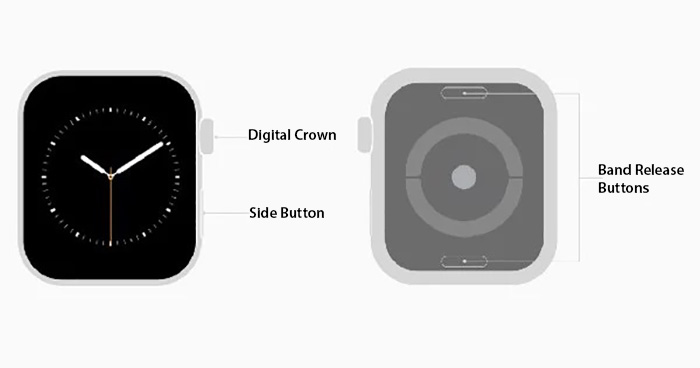 Hướng dẫn sử dụng Apple Watch Cơ Bản