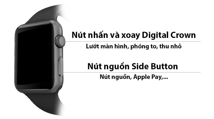 Hướng dẫn sử dụng Apple Watch Cơ Bản