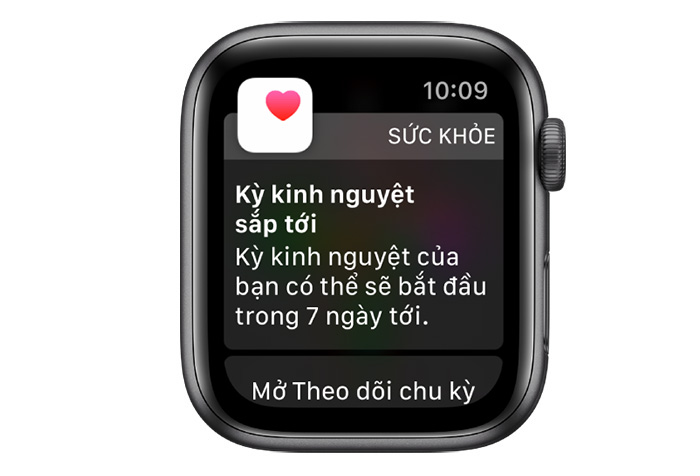 Hướng dẫn sử dụng Apple Watch Cơ Bản
