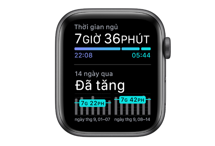 Hướng dẫn sử dụng Apple Watch Cơ Bản