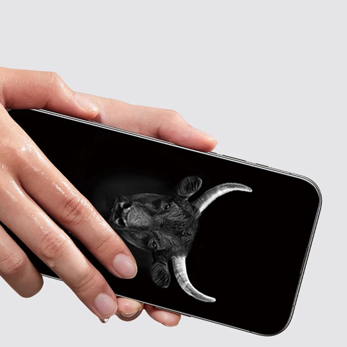 dmh cuong luc chong nhin trom mipow kingbull anti spy premium hd 2.7d for iphone 16 promax 42 700x700 1