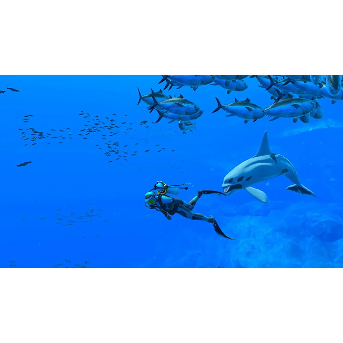 endless_ocean_luminous_41-1400x1400w Game Endless Ocean Luminous - Nintendo Switch - Ảnh 4