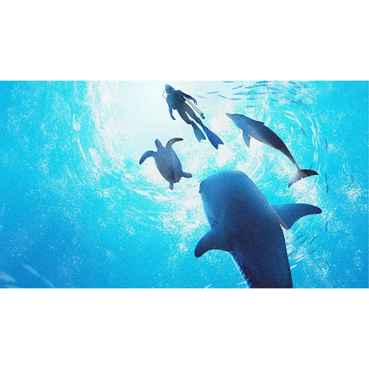 endless_ocean_luminous_42-1400x1400w Game Endless Ocean Luminous - Nintendo Switch - Ảnh 3