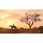 Game Red Dead Redemption 1 + Undead Nightmare DLC - Secondhand - Nintendo Switch - Ảnh 4
