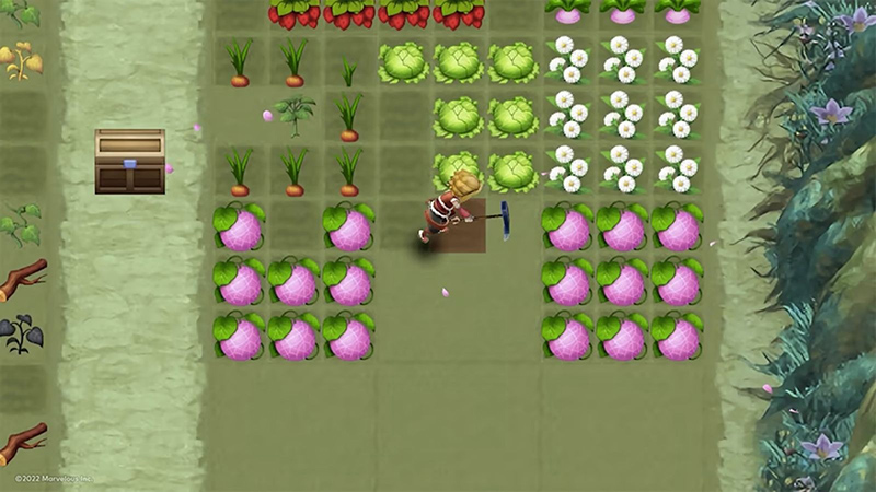 rune factory 3 special nhung thay doi dang ke01 3