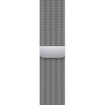 Silver Milanese Loop