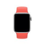 Solo Loop Pink Citrus - Ảnh 3