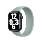 Succulent Solo Loop - Ảnh 3