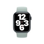 Succulent Solo Loop - Ảnh 2