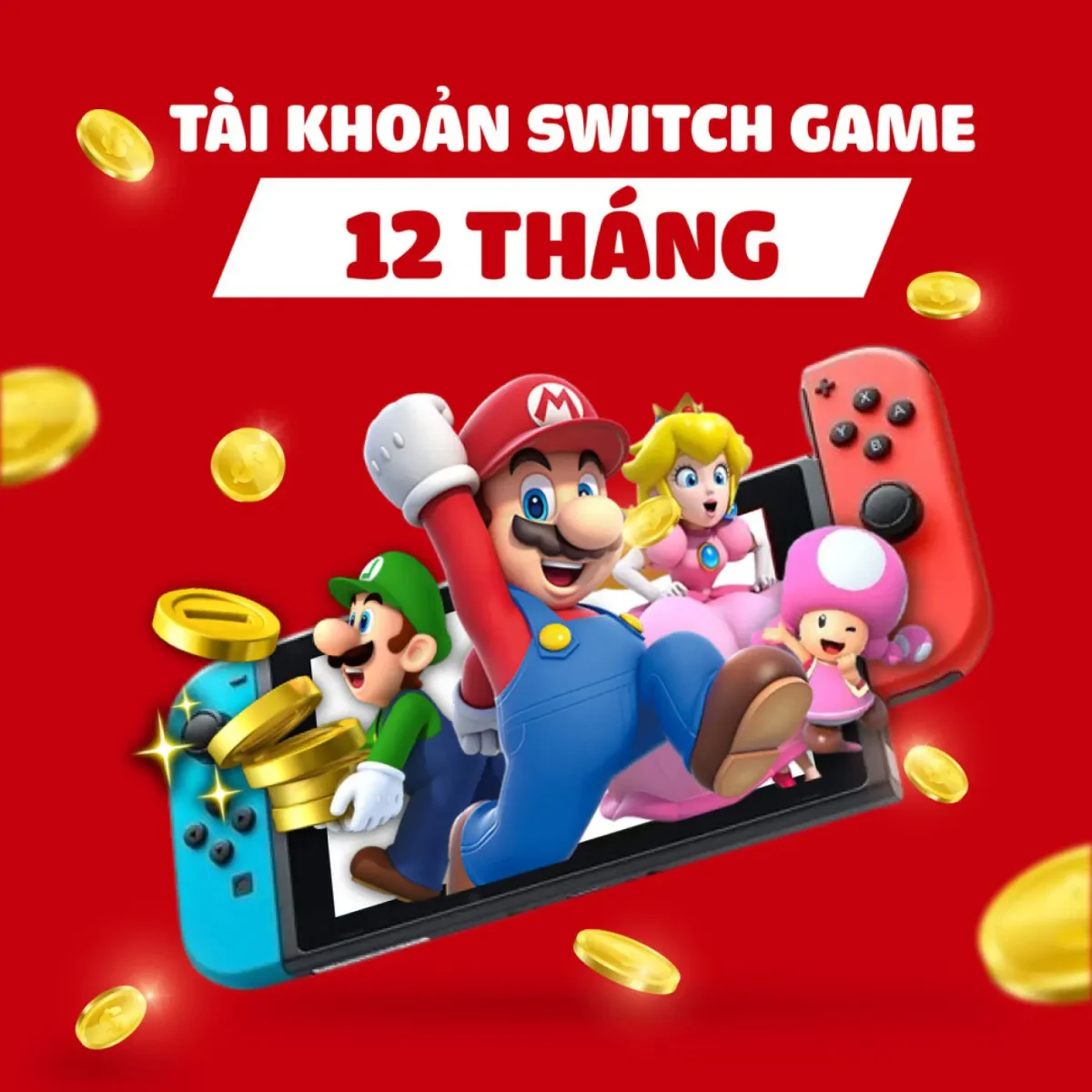 tai khoan switch 12 thang 1400x1400 1
