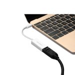 Ugreen USB-C to Displayport (Female) Adapter 40372 - Ảnh 2