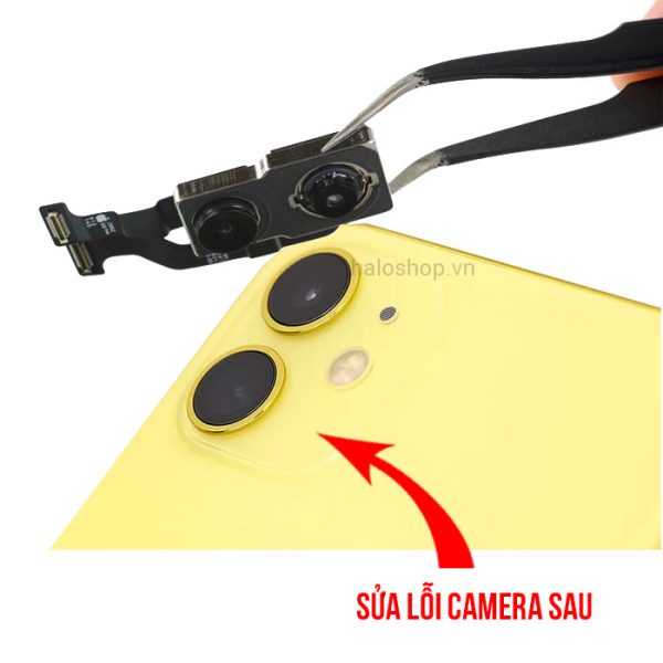 Lỗi Camera Sau - iPhone 11