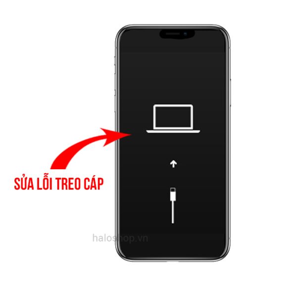Lỗi Treo Cáp - iPhone 11