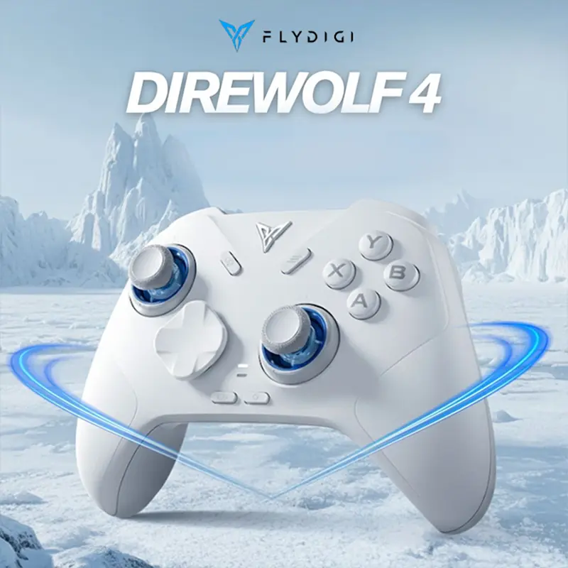 DIREWOLF 4 CONTROLLER 01
