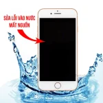 Lỗi Vào Nước Mất Nguồn - iPhone 7