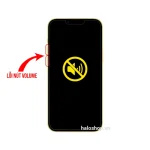 Lỗi Nút Volume Bấm Không Ăn - iPhone 14 Plus