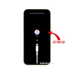 Lỗi Treo Cáp - iPhone 14 Plus