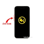 Lỗi Nút Volume Bấm Không Ăn - iPhone 16 Plus