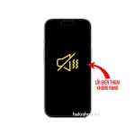 Lỗi Không Rung - iPhone 16 Pro Max