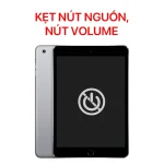 Lỗi Kẹt Nút Nguồn, Nút Volume - iPad Mini 2