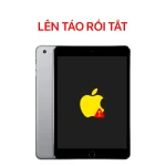 Lỗi Lên Táo Rồi Tắt - iPad Mini 5