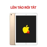 Lỗi Lên Táo Rồi Tắt - iPad Pro 9.7