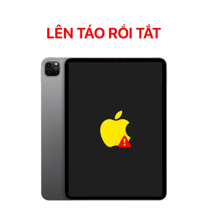 Lỗi Lên Táo Rồi Tắt - iPad Pro 11 Gen 1