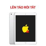 Lỗi Lên Táo Rồi Tắt - iPad Gen 6