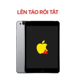 Lỗi Lên Táo Rồi Tắt - iPad Mini 3