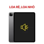 Lỗi Loa Rè, Loa Nhỏ - iPad Pro 11 Gen 1