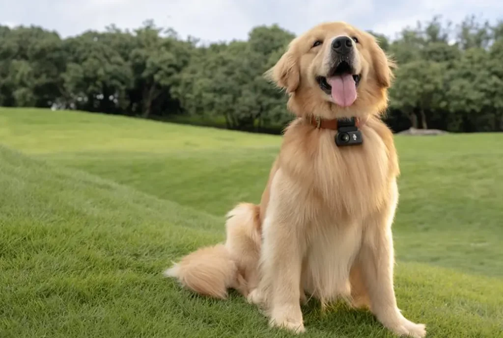 DJI - Osmo Nano - 64GB 5 DJI OSMO NANO 03