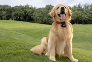 DJI - Osmo Nano - 128GB 3 DJI OSMO NANO 03