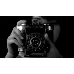 Game Fatal Frame II: Crimson Butterfly REMAKE - PS5 - Ảnh 3