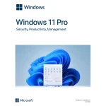 Windows 11 Pro