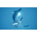 Game Abzu - PS4 - Secondhand - Ảnh 4