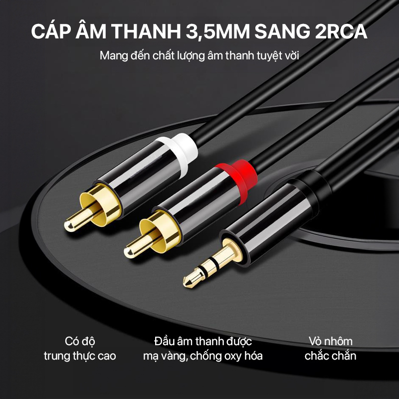 Cáp Chuyển Đổi Âm Thanh Philips - Audio Cable 3.5MM Stereo To 2XRCA 1